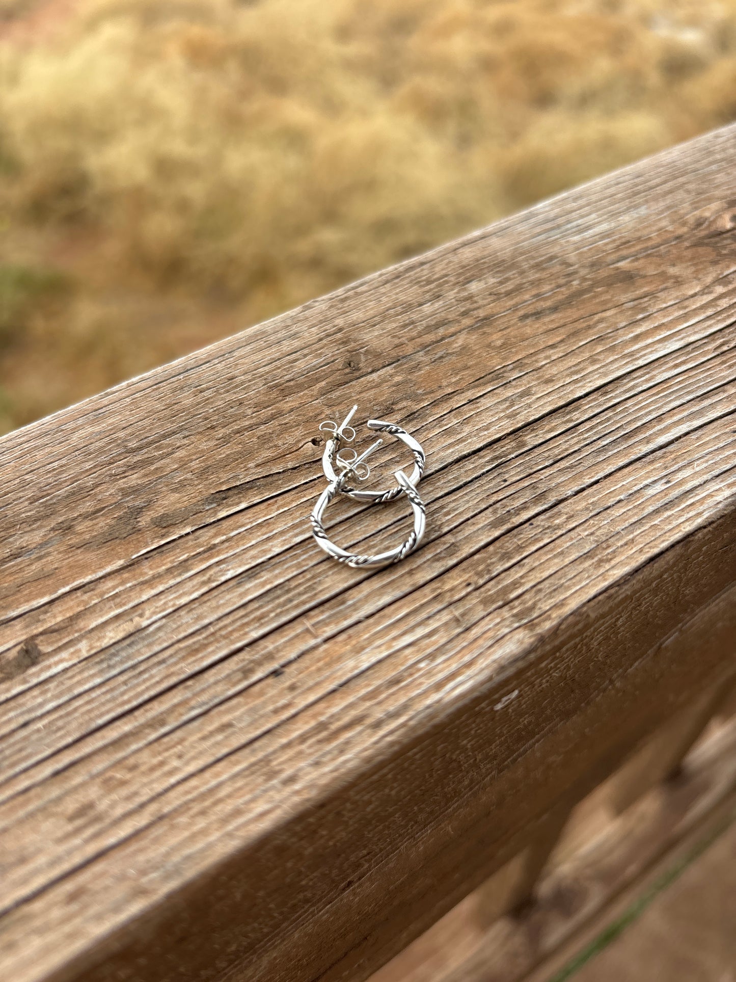 Elaine Tahe Small Hoop Earrings 7ESET