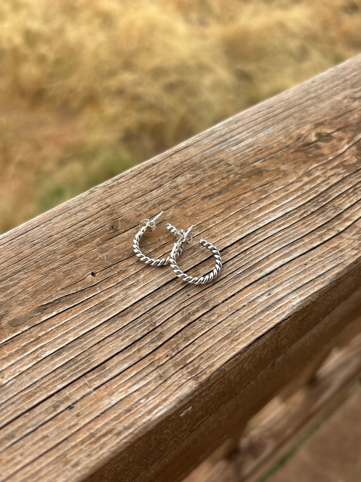 Elaine Tahe Small Hoop Earrings 9ESET