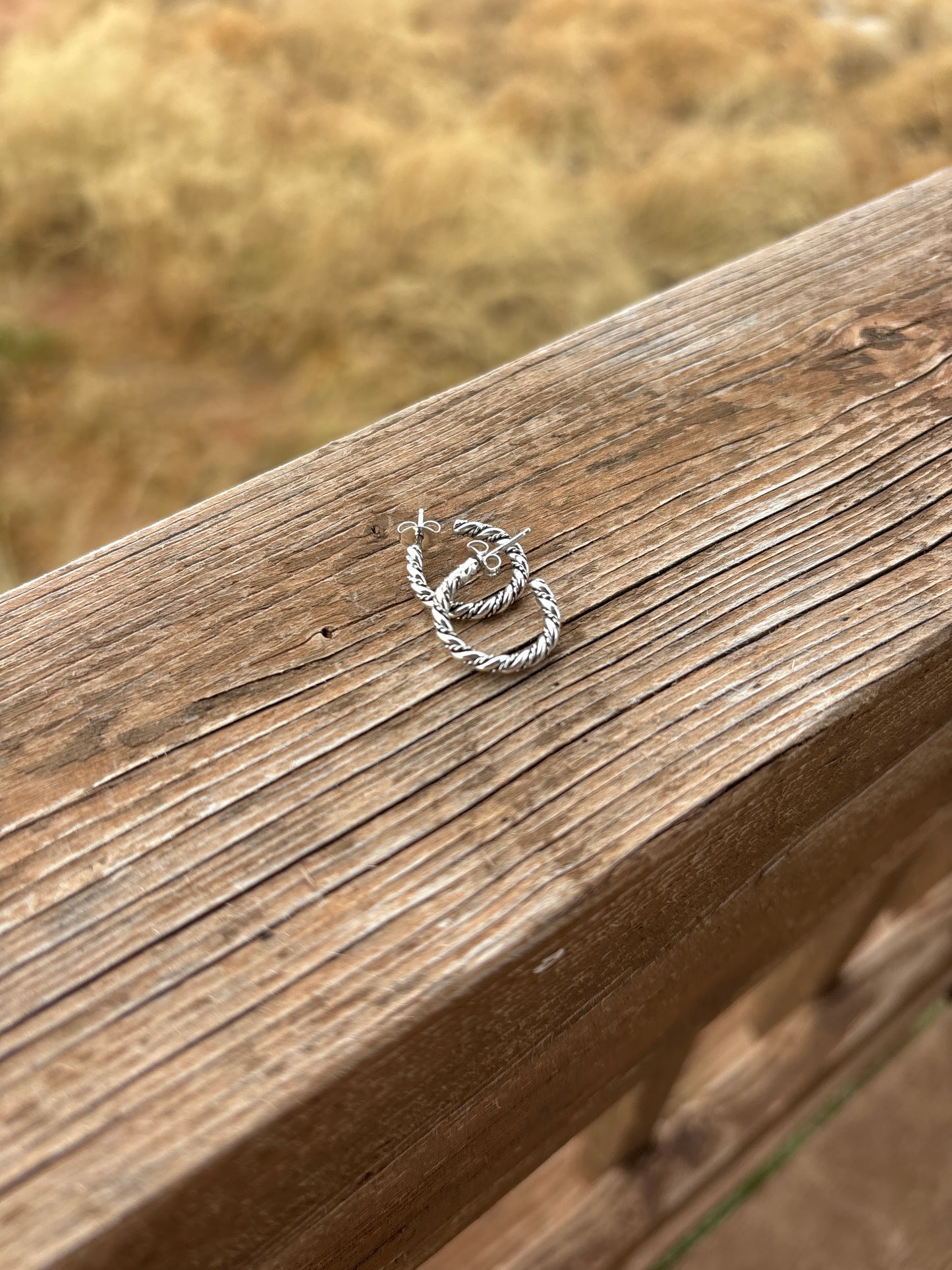 Elaine Tahe Small Hoop Earrings 6ESET