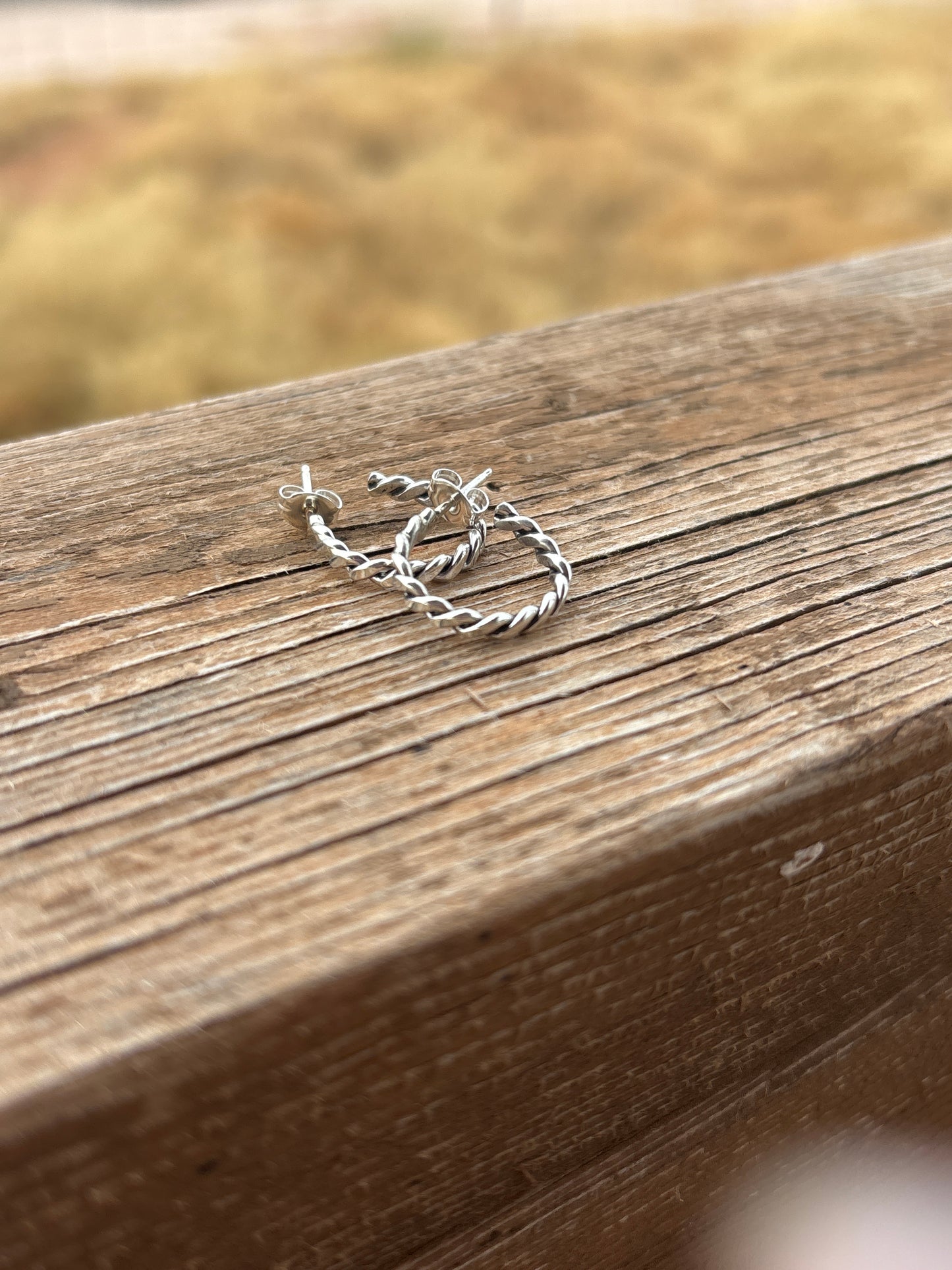 Elaine Tahe Small Hoop Earrings 5ESET